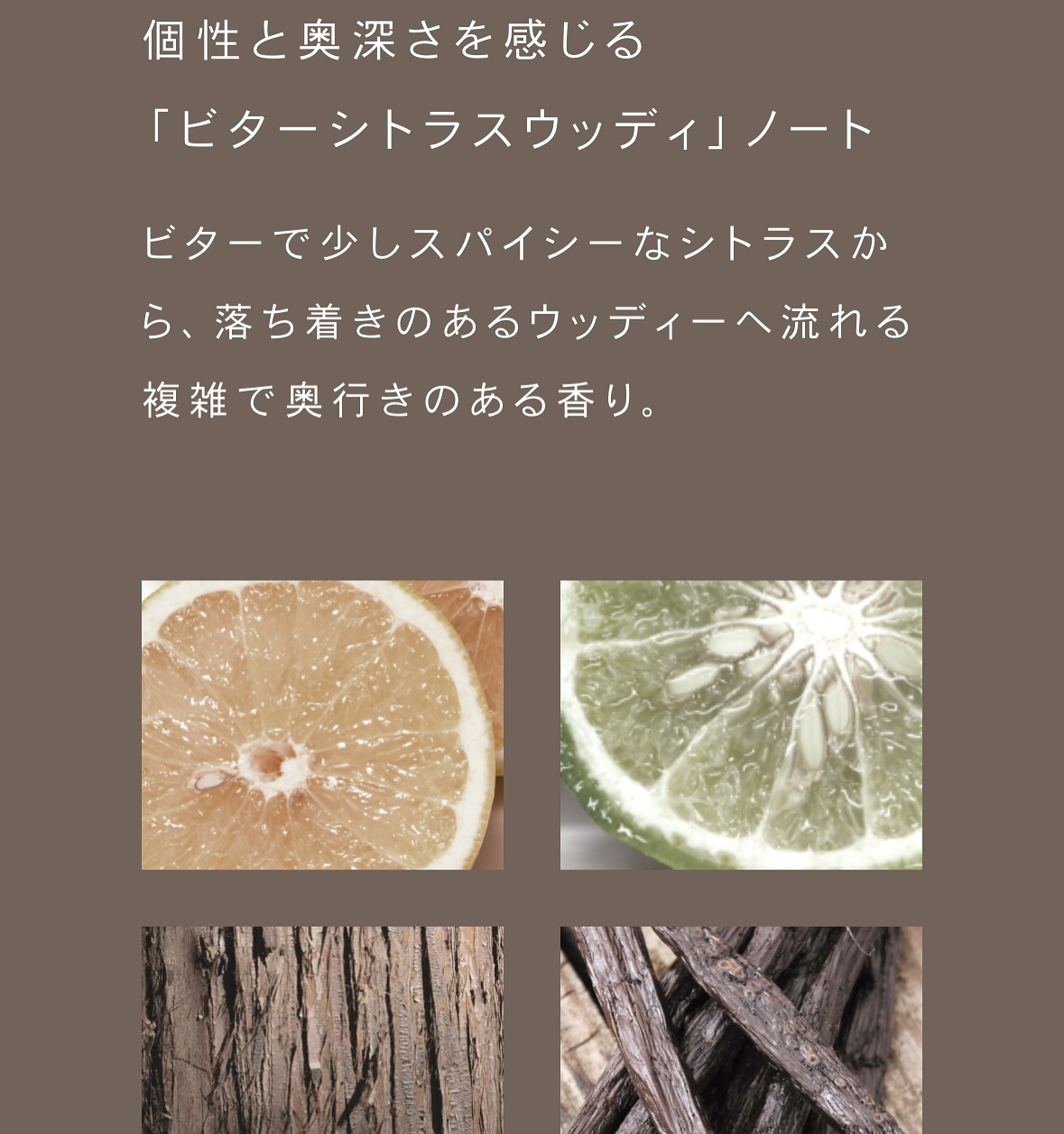 NEW スタイリング剤 🌟